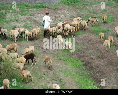 Pastore pascere il suo gregge sulla sommità di una collina. Maharashtra, India Foto Stock