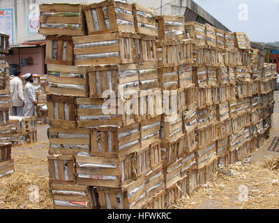 Manghi per la vendita nel mercato locale, imballate in scatole di legno. Pune, Maharashtra, India Foto Stock