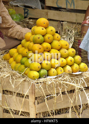 Manghi per la vendita nel mercato locale di Pune, Maharashtra, India Foto Stock