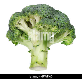 Cabbage Tree concetto - grande broccoli verdi piante vegetali. Isolato su bianco Foto Stock