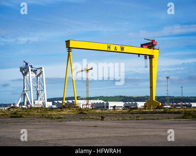 Sansone gru. Uno dei due letti la costruzione navale Gantry cranes in Titanic Quarter, famoso punto di riferimento di Belfast. Foto Stock