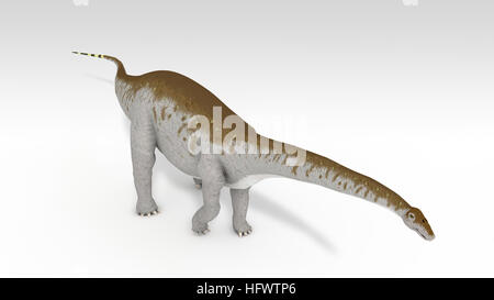 3d illustrazione del apatosaurus isolato su bianco Foto Stock