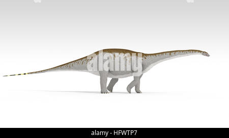 3d illustrazione del apatosaurus isolato su bianco Foto Stock