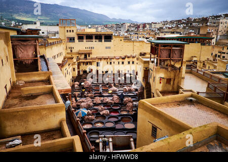 Il Chouara concerie nella medina di Fez, Marocco che mostra il colorante box e uomini al lavoro sulle pelli. Foto Stock