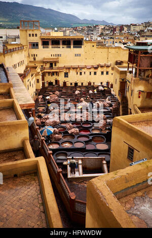 Il Chouara concerie nella medina di Fez, Marocco che mostra il colorante box e uomini al lavoro sulle pelli. Foto Stock