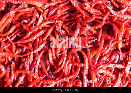 Rossi secchi peperoncino spice con sun. Il cibo per essere immagazzinati più a lungo. Foto Stock