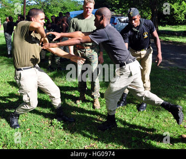 111116-A-TF780-030 Santo Domingo, Repubblica Dominicana (16 novembre 2011) DEGLI STATI UNITI Marine Cpl. Lucas Ottandar-Todd, da Alta Velocità nave (HSV 2) Swift, Marine Corps distacco (MARDET), osserva Repubblica Dominicana Marines come mettono in pratica le arti marziali training su San Isidro Air Base. La Swift è distribuito nel sud della stazione di partenariato (SPS) 2012. A sud della stazione di partenariato è una distribuzione annuale delle navi degli Stati Uniti per gli Stati Uniti Comando Sud area di responsabilità nei Caraibi e America Centrale e America del Sud. (U.S. Esercito foto di Sgt. 1. Classe Alan B. Owens/RILASCIATO) Navy US 111116-A-TF780-030 un Foto Stock