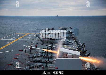 Oceano atlantico (GEN. 26, 2013) l'assalto anfibio nave USS Kearsarge (LHD 3) incendi una cellula di rotolamento Missile (RAM) durante un'esercitazione a fuoco. Kearsarge è in conduzione squadrone anfibio/Marine Expeditionary Unit integrazione in preparazione per una distribuzione programmata di questa primavera. (U.S. Foto di Marina di Massa lo specialista di comunicazione di terza classe Tamara Vaughn/RILASCIATO) 130126-N-RJ834-189 Unisciti alla conversazione http://www.facebook.com/USNavy http://www.twitter.com/USNavy http://navylive.dodlive.mil USS Kearsarge conduce un'esercitazione a fuoco. (8426255943) Foto Stock