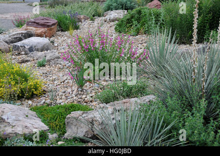 Giardino a secco in Kendrick Lake Park in Lakewood, Colorado Foto Stock