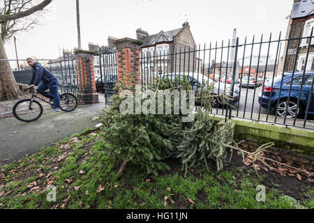 Londra, Regno Unito. 3 gennaio, 2017. Punto di riciclaggio per oggetto di dumping Alberi di Natale nel Parco Deptford © Guy Corbishley/Alamy Live News Foto Stock