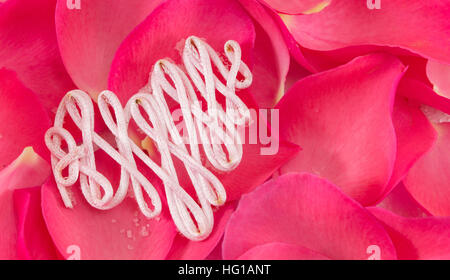 Forma di cuore fatta di filo su rosso petali di rosa Foto Stock