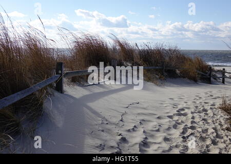 Stati Uniti d'America New Jersey NJ Cape può accedere alla spiaggia punto attraverso protetti dune di erba a l'Oceano Atlantico Foto Stock