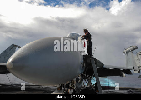 151013-N-ZF498-132 U.S. 5TH FLOTTA AREA DI OPERAZIONI (ott. 13, 2015) - Airman Kaitlyn Panter, da Salt Lake City, pulisce la tettoia di un EA-18G Growler assegnato all'Rooks di Attacco Elettronico Squadron (VAQ) 137 sul ponte di volo della portaerei USS Theodore Roosevelt CVN (71). Theodore Roosevelt è distribuito negli Stati Uniti Quinta Flotta area di operazioni di supporto inerente operazione di risolvere, colpire le operazioni in Iraq e Siria come diretto, le operazioni di sicurezza marittima e di protezione del teatro le iniziative di cooperazione nella regione. (U.S. Foto di Marina di Massa lo specialista delle comunicazioni di terza classe A Foto Stock