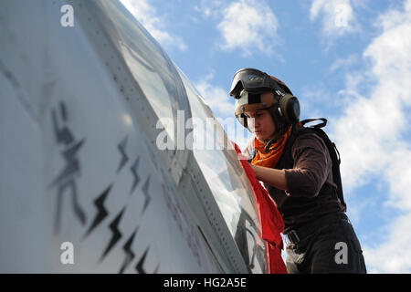 151013-N-ZF498-141 U.S. 5TH FLOTTA AREA DI OPERAZIONI (ott. 13, 2015) - Airman Kaitlyn Panter, da Salt Lake City, pulisce la tettoia di un EA-18G Growler assegnato all'Rooks di Attacco Elettronico Squadron (VAQ) 137 sul ponte di volo della portaerei USS Theodore Roosevelt CVN (71). Theodore Roosevelt è distribuito negli Stati Uniti Quinta Flotta area di operazioni di supporto inerente operazione di risolvere, colpire le operazioni in Iraq e Siria come diretto, le operazioni di sicurezza marittima e di protezione del teatro le iniziative di cooperazione nella regione. (U.S. Foto di Marina di Massa lo specialista delle comunicazioni di terza classe A Foto Stock