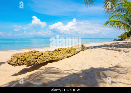 Palm tree tronco alla spiaggia in Penang, Malaysia Foto Stock