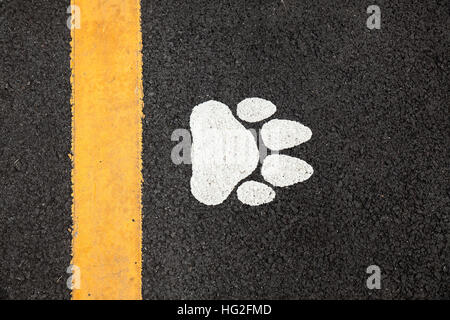 Footprint del cane sulla strada Foto Stock