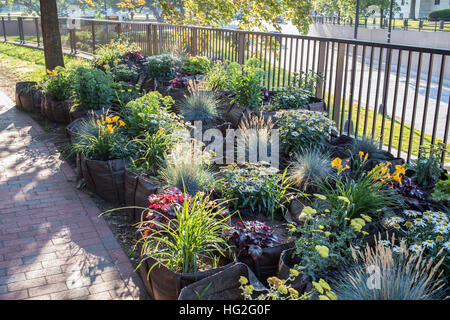 Harvard Square, Cambridge, Massachusetts Foto Stock