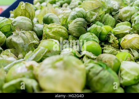 Pila di sfondo di fresco verde biologico tomatillos con bucce. Foto Stock