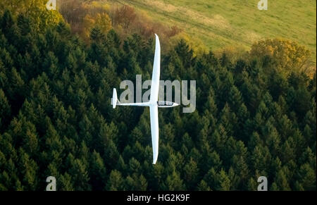 Vista aerea, Duo Discus D-5443 dalla LSC Oeventrop e.V. sopra le foreste autunnali di Oeventrop, Foto Stock