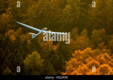 Vista aerea, Duo Discus D-5443 dalla LSC Oeventrop e.V. sopra le foreste autunnali di Oeventrop, Foto Stock