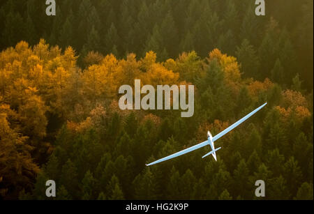 Vista aerea, Duo Discus D-5443 dalla LSC Oeventrop e.V. sopra le foreste autunnali di Oeventrop, Foto Stock