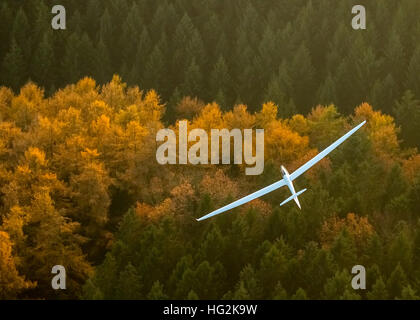 Vista aerea, Duo Discus D-5443 dalla LSC Oeventrop e.V. sopra le foreste autunnali di Oeventrop, Foto Stock