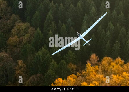 Vista aerea, Duo Discus D-5443 dalla LSC Oeventrop e.V. sopra le foreste autunnali di Oeventrop, Foto Stock