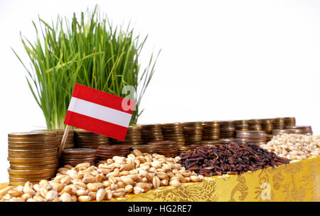 Austria bandiera sventola con la pila di banconote e monete in pile di frumento e di sementi di riso Foto Stock