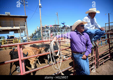 Rodeo concorrenza durante la Navajo Nation Fair, rinomata in tutto il mondo come evento che mette in mostra l'agricoltura Navajo, belle arti e mestieri, con la promozione e pr Foto Stock