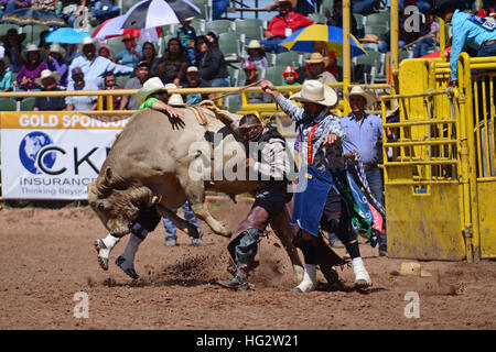 Rodeo concorrenza durante la Navajo Nation Fair, rinomata in tutto il mondo come evento che mette in mostra l'agricoltura Navajo, belle arti e mestieri, con la promozione e pr Foto Stock