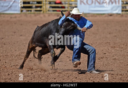 Rodeo concorrenza durante la Navajo Nation Fair, rinomata in tutto il mondo come evento che mette in mostra l'agricoltura Navajo, belle arti e mestieri, con la promozione e pr Foto Stock