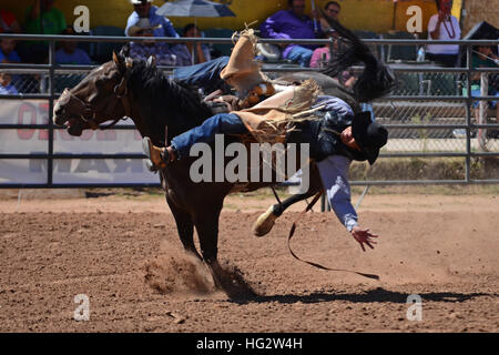 Rodeo concorrenza durante la Navajo Nation Fair, rinomata in tutto il mondo come evento che mette in mostra l'agricoltura Navajo, belle arti e mestieri, con la promozione e pr Foto Stock