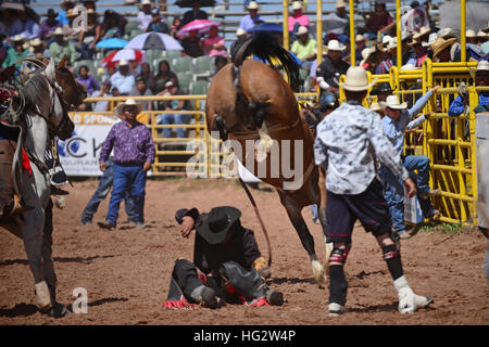 Rodeo concorrenza durante la Navajo Nation Fair, rinomata in tutto il mondo come evento che mette in mostra l'agricoltura Navajo, belle arti e mestieri, con la promozione e pr Foto Stock