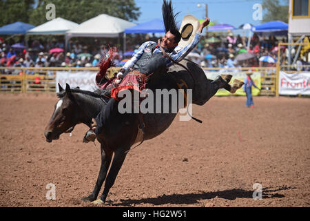 Rodeo concorrenza durante la Navajo Nation Fair, rinomata in tutto il mondo come evento che mette in mostra l'agricoltura Navajo, belle arti e mestieri, con la promozione e pr Foto Stock