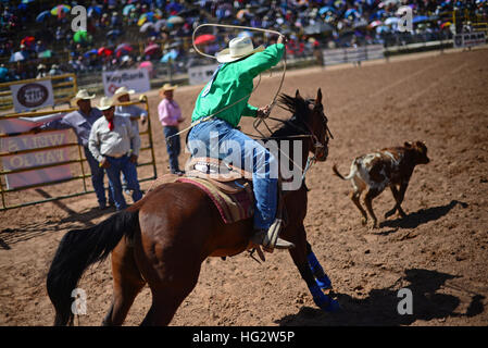 Rodeo concorrenza durante la Navajo Nation Fair, rinomata in tutto il mondo come evento che mette in mostra l'agricoltura Navajo, belle arti e mestieri, con la promozione e pr Foto Stock