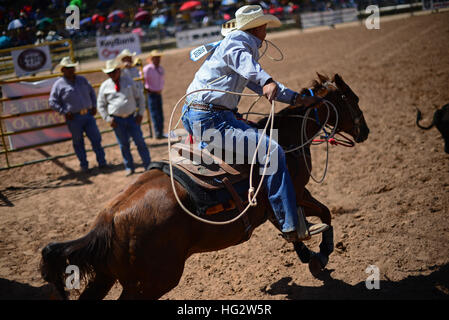 Rodeo concorrenza durante la Navajo Nation Fair, rinomata in tutto il mondo come evento che mette in mostra l'agricoltura Navajo, belle arti e mestieri, con la promozione e pr Foto Stock