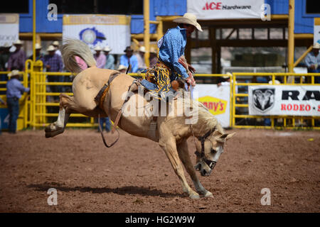 Rodeo concorrenza durante la Navajo Nation Fair, rinomata in tutto il mondo come evento che mette in mostra l'agricoltura Navajo, belle arti e mestieri, con la promozione e pr Foto Stock