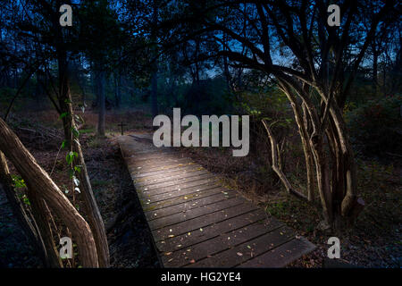Ponte pedonale attraverso il bosco di notte Foto Stock