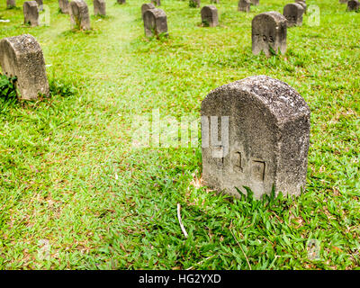 Un oggetto contrassegnato per la rimozione definitiva su un verde prato Foto Stock
