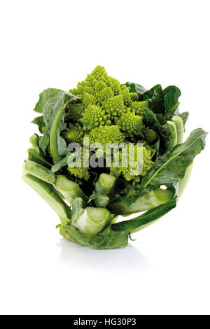 Cavolo broccolo romanesco (Brassica oleracea) Foto Stock