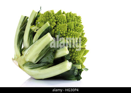 Cavolo broccolo romanesco (Brassica oleracea) Foto Stock