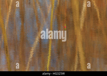 La riflessione di alberi e un bobber di pesca in un lago. Foto Stock