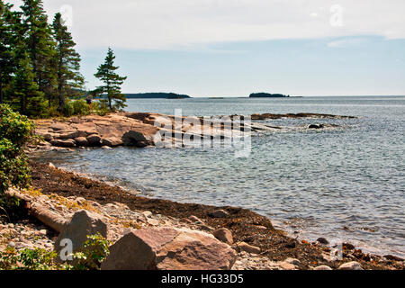 La costa rocciosa del porto di estate Schoodic Peninsula, Parco Nazionale di Acadia nel Maine, Stati Uniti d'America Foto Stock