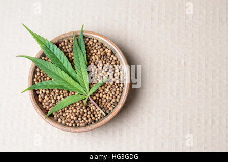 Un mazzo di semi di cannabis su un piatto con foglia verde. Grano di canapa  su sfondo grigio, posa piatta. Granella di marijuana, vista dall'alto Foto  stock - Alamy