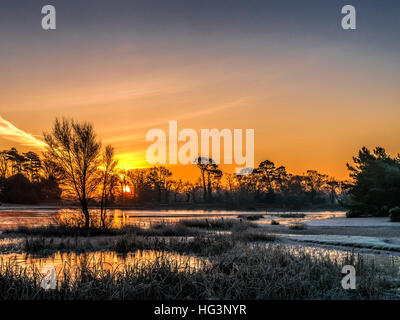 Sunrise over Hatchet stagno, Nuova Foresta, Parco Nazionale. Foto Stock