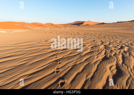 Passeggiate turistiche sulla Scenic dune di Sossusvlei, Namib Desert, Namib Naukluft National Park, Namibia. La luce del pomeriggio. Esplorazione e Avventura in Foto Stock