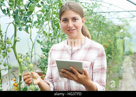 Donna scienziato in serra la ricerca di colture di pomodoro Foto Stock