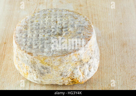 La forma di formaggio a pasta dura di una crosta bloomy latte di capra, il gelo crosta, di trattamento attraverso un apposito stampo del genere Penicillium, come Penicillium camemb Foto Stock