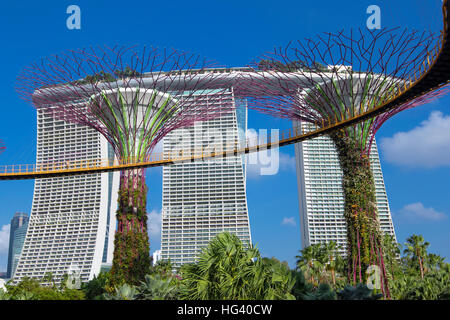 Giardini dalla baia e Marina Bay Sands Hotel, Singapore Foto Stock