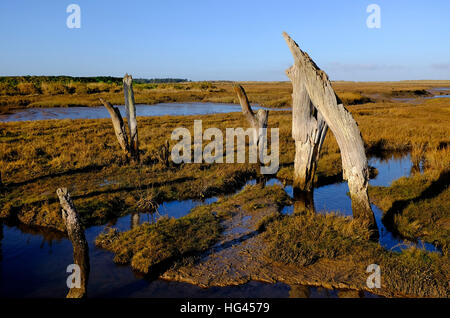 Thornham, North Norfolk, Inghilterra Foto Stock